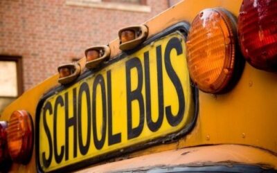 What is the law for passing a school bus?